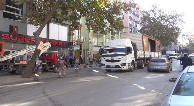 Prefabrik ev taşıyan tırın kırdığı ağaç 2 araca zarar verdi