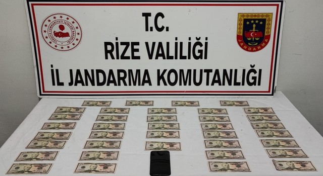 Rizede sahte dolar operasyonu: 1 gözaltı