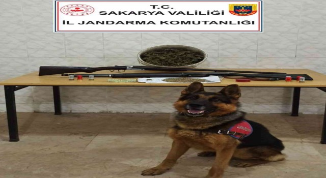 Sakaryada 4 kilogram esrar ele geçirildi: 2 gözaltı