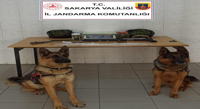 Sakaryada uyuşturucu operasyonu: 1 gözaltı
