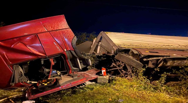 Samsunda tomruk yüklü tır devrildi: 1 yaralı