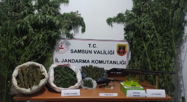 Samsunun 10 ay 10 günlük uyuşturucu raporu: 100lerce kilo ve 100 binlerce kök uyuşturucu ele geçirildi