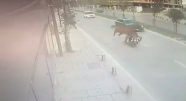 Sancaktepede yola çıkan başıboş ata motosiklet çarptı