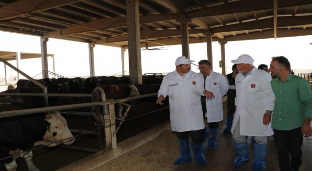 Şanlıurfada kent sorunlarına neşter vuruluyor