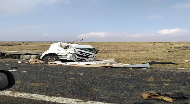 Şarampole yuvarlanan tırda sürücü yaralandı