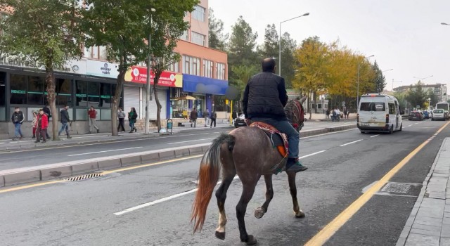 Şehrin ortasında atla tur attı