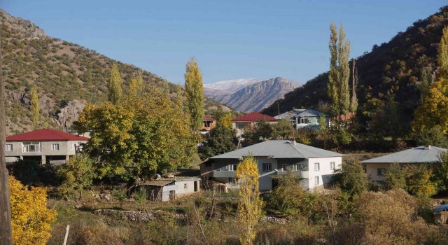 Şırnakın bal ormanları farklı renk tonlarıyla göz kamaştırdı