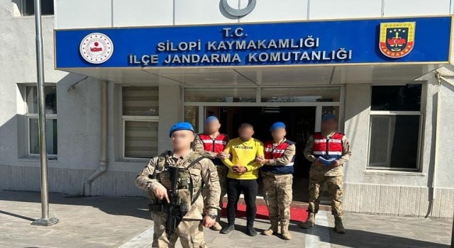 Şırnakta terör operasyonunda 1 tutuklama