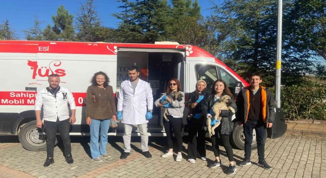 Sokak sokak gezen Patibüs, hayvanların yardımına koşuyor