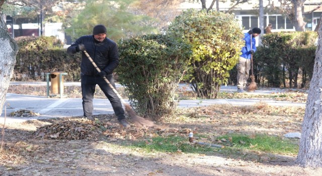 Sonbahar yaprakları toplanıp gübreye dönüştürülüyor