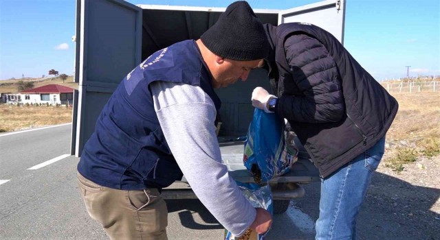 Sosyal medyada gündem olan tilki için doğal yaşam alanına yiyecek bırakıldı