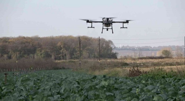 Tarlalar dronla ilaçlanıyor