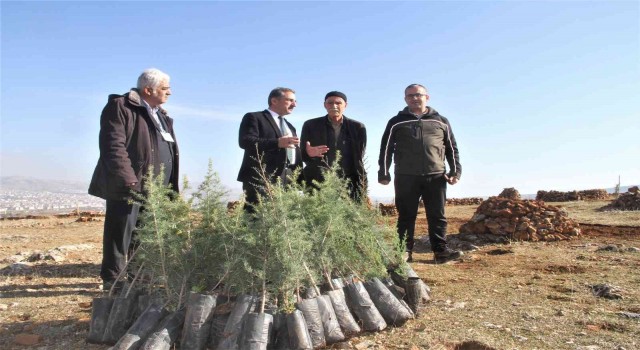 Taşlık araziyi ormana çevirmişti: Yetkililer teşekkür edip fidan desteğinde bulundu