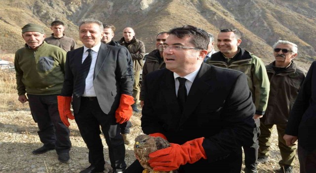 Tedavisi tamamlanan dağ keçileri ve kuşlar doğaya bırakıldı
