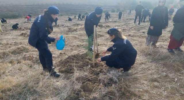 Tekirdağda 1 yılda 693 bin fidan dikilecek