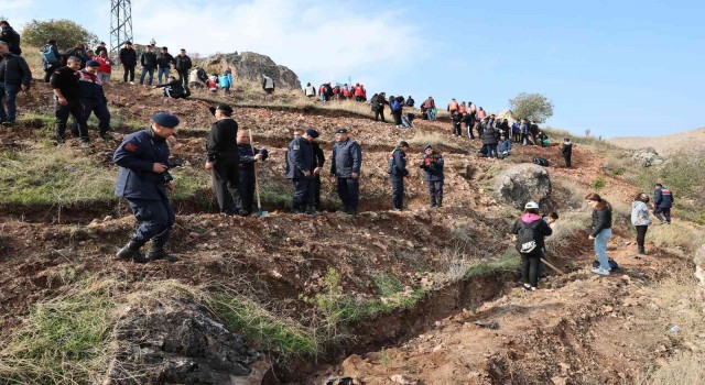 Tokatta, 8 bin fidan toprakla buluştu