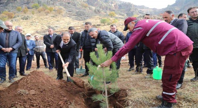 Tuncelide 20 bin fidan toprakla buluşturuldu