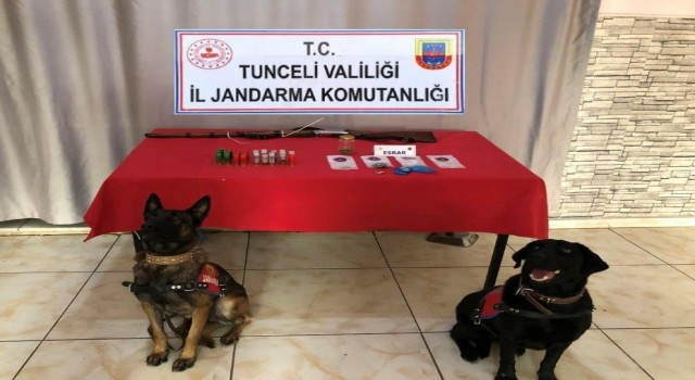 Tuncelide uyuşturucu ve av tüfeği ele geçirildi: 2 gözaltı