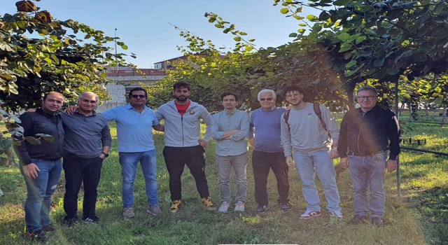 Türk kivi çeşitlerine İtalyadan talip çıktı