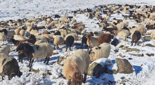 Türkiyenin en yüksek rakımlı köyüne mevsimin ilk karı yağdı