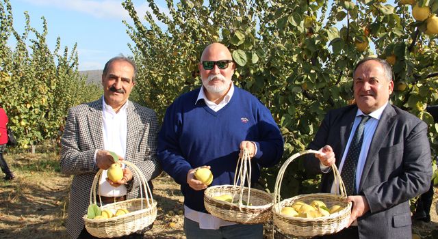 İzmir'in Selçuk İlçesinde “Ayva Hasat Töreni” düzenledi