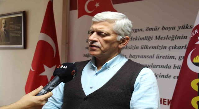 TVHB Başkanı Eroğlu: “Barınaklar fiziki kapasite açısından sahipsiz hayvanların bakımına uygun değil”