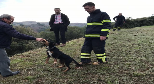 Uçuruma düşen köpeği itfaiye kurtardı
