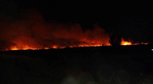 Uluslararası koruma altında bulunan Göksu Deltasında yangın