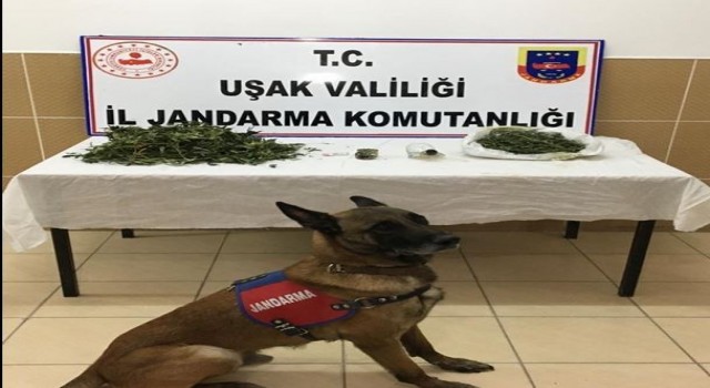 Uşakta 2 uyuşturucu taciri tutuklandı