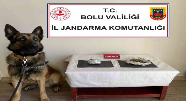 Uyuşturucu taşıyan yolcuları dedektör köpek yakaladı