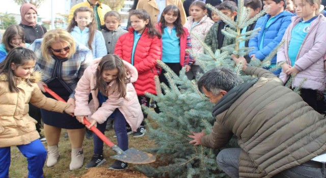 Vali Ergünün öğretmen eşi ‘Öğretmenler Gününü fidan dikerek kutladı