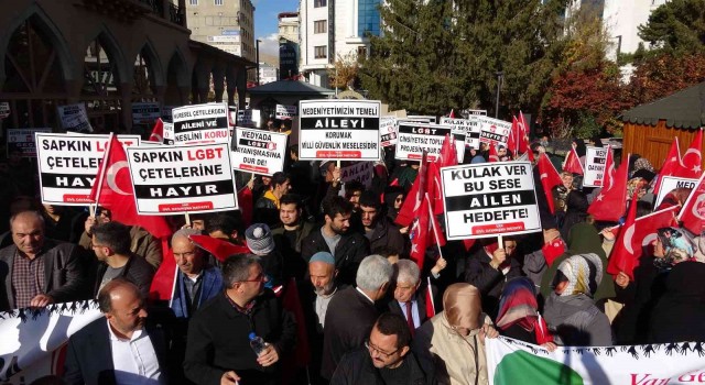Vanda LGBT karşıtı yürüyüş yapıldı