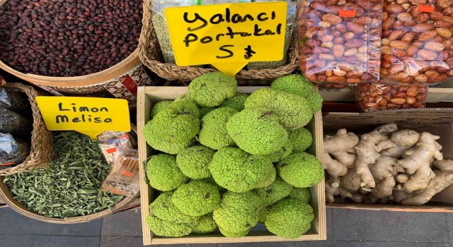 Vatandaşın ağrı kesici arayışına “Yalancı portakal” yetişti