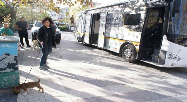Vetbüs can dostlara sağlık hizmeti sunuyor