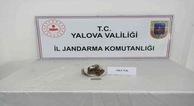 Yalovada jandarmadan uyuşturucu operasyonları: 6 gözaltı