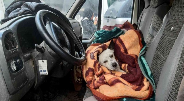Yanından ayırmadığı Atlasını kaybetti