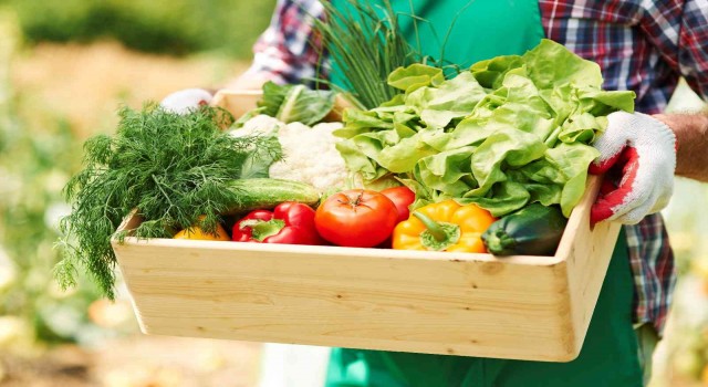 “Yanlış beslenme sonucu gereksiz protein tüketimi arttı”