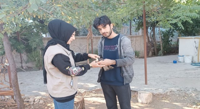Yaralı hayvanlar tedavi altına alındı
