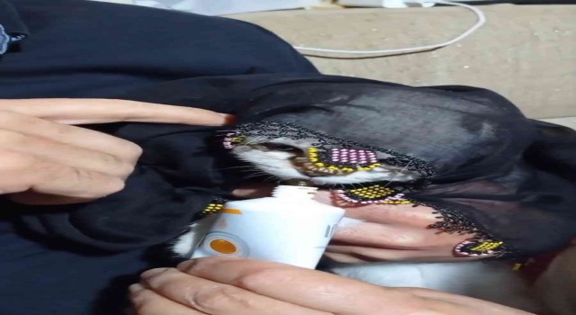Yazma taktığı kediyi türküler eşliğinde besledi