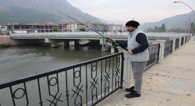 Yeşilırmakta su samuru ailesi görüldü, vatandaşlar yayın balığı sandı