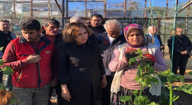 Yılmaz, Silifkede doludan zarar gören seralarda incelemelerde bulundu