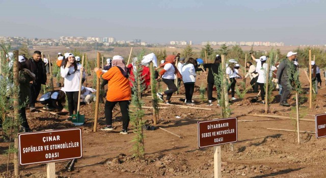 Yüzde 24ü ormanlık olan Diyarbakıra 4 bin yeni fidan
