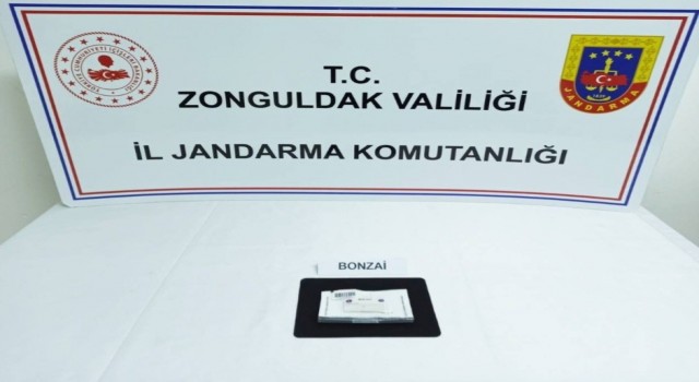 Zonguldakta uyuşturucu operasyonunda 3 tutuklama