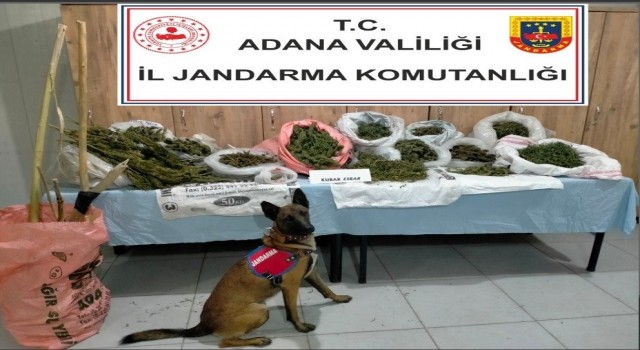 Adanada çiftlik evinde uyuşturucu ele geçirildi