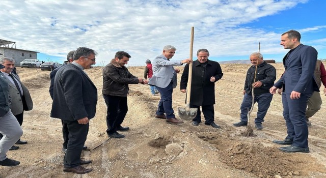 Adilcevazda kurulan “Ceviz Gen Bahçesi” çiftçinin yüzünü güldürdü