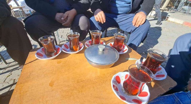 Adilcevazda yalancı bahar