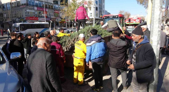 Adıyamanda, yılbaşı öncesi binlerce fidan dağıtıldı