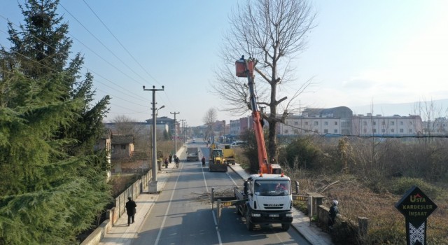 Ağaçlara kar yağışı öncesi bakım