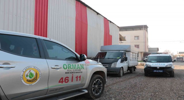 Ağaçları kesti, yakalanacağını anlayınca aracı bırakıp kaçtı