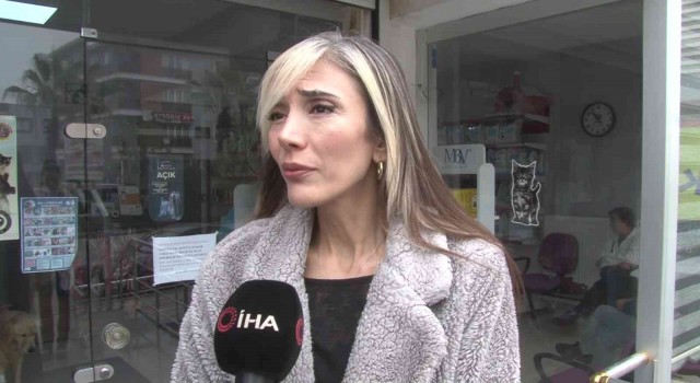 Ağzına silahla ateş edilen köpek yaşam mücadelesi veriyor